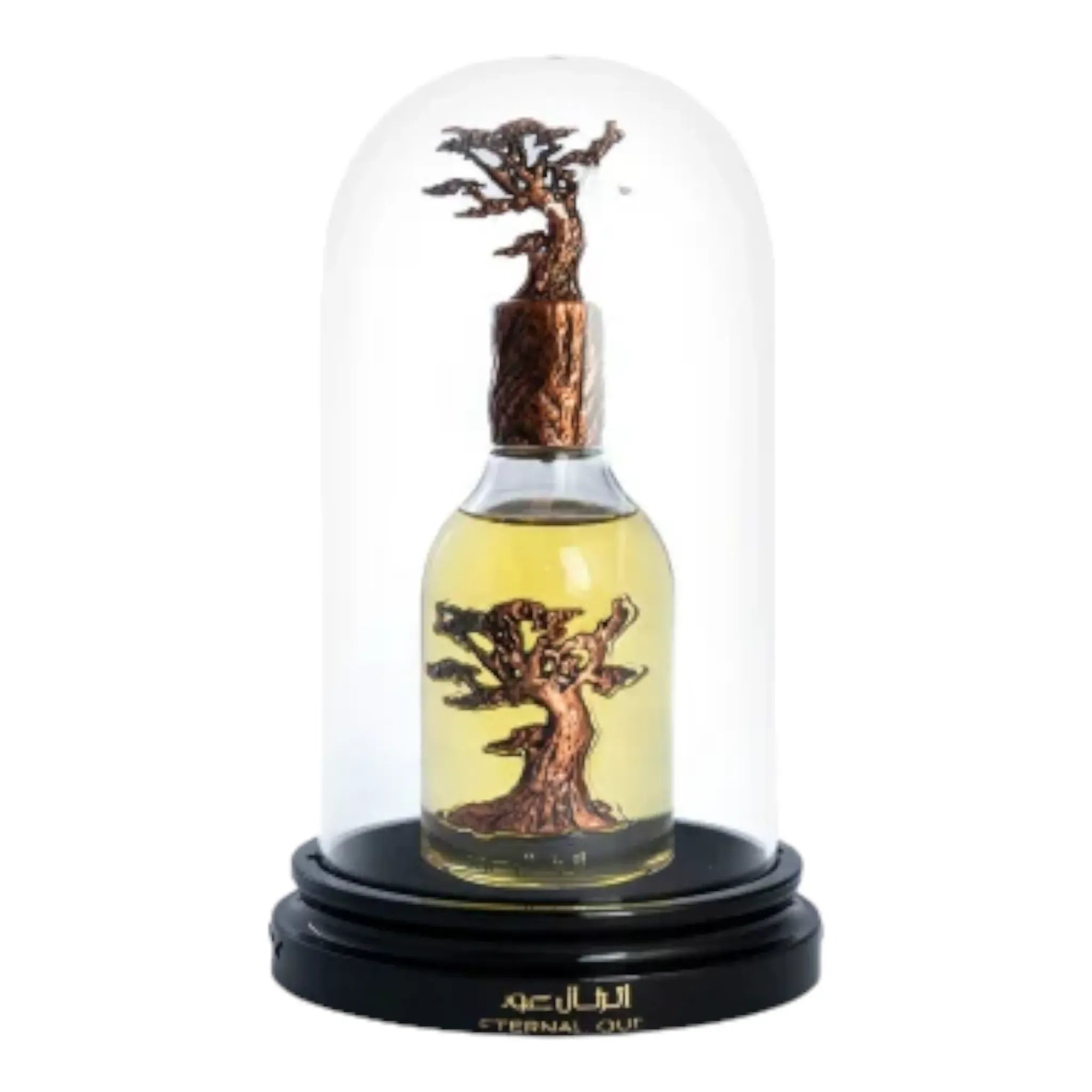 Eternal Oud 100ml EDP from Lattafa pride.