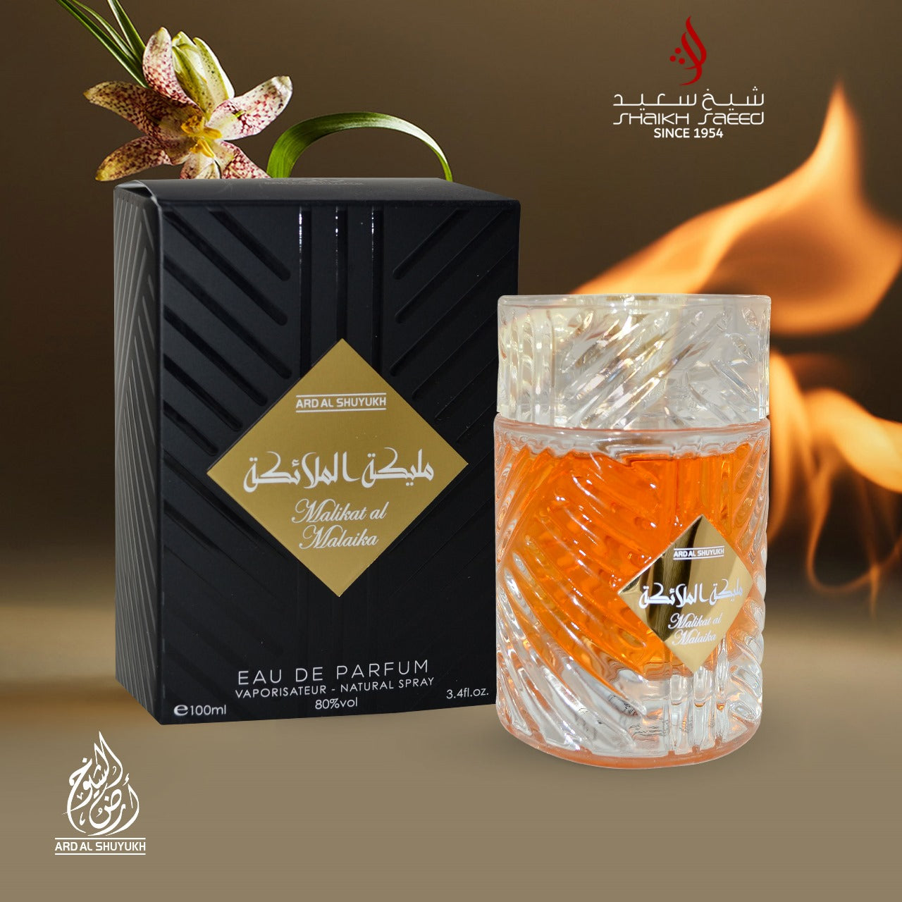 Tukli mushuk video tuklisiga itaradi